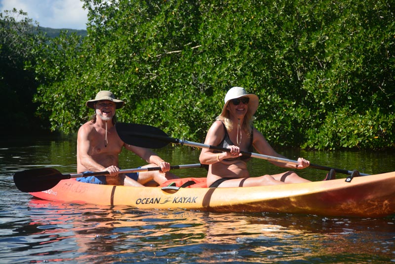 best jamaica tours - mangrove kayaking