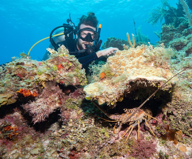 best jamaica tours - montego bay marine park