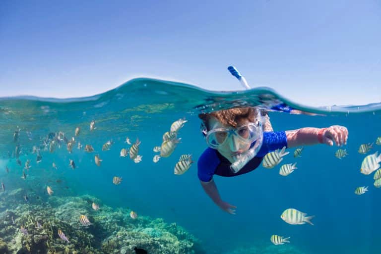 The 7 best places to snorkel in the world
