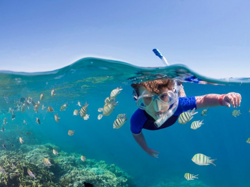best places to snorkel in the world - cozumel