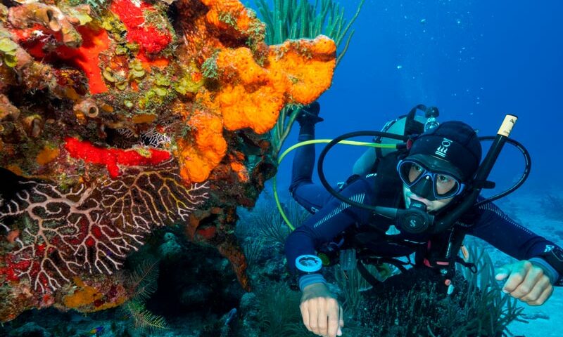 best scuba diving in Cozumel - 6