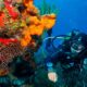 best scuba diving in Cozumel - 6