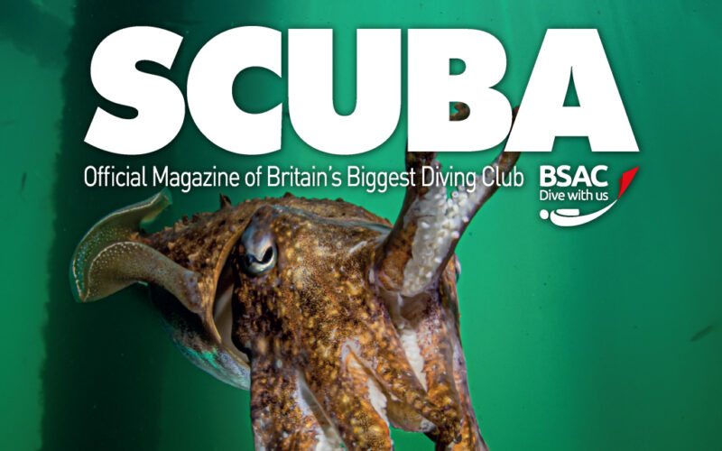 best scuba diving blogs and websites - blogs de buceo