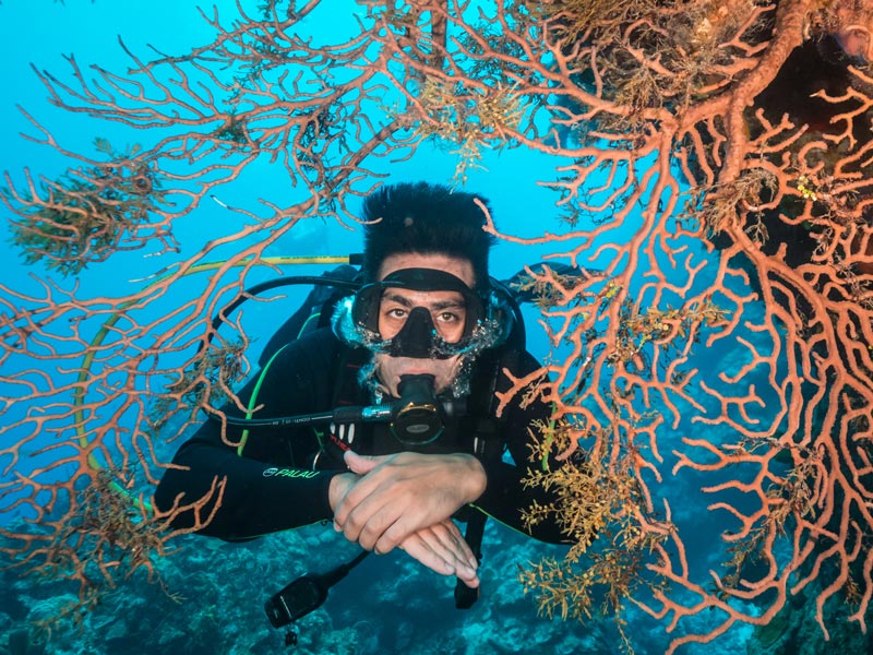 best scuba diving in Cozumel - 4