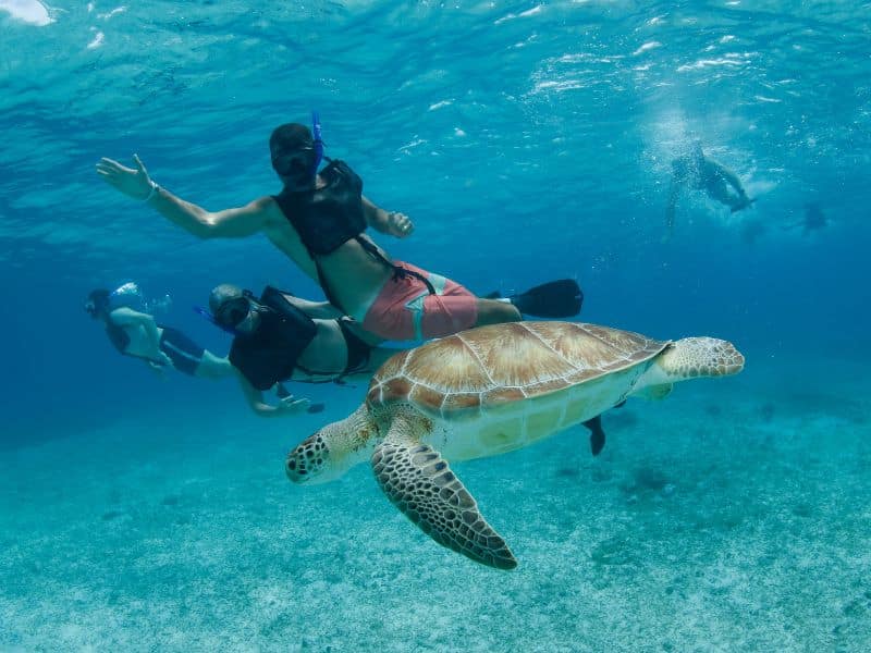 best shore snorkeling in the caribbean - snorkel en el Caribe
