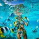 best snorkeling destinations in the Caribbean (1) mejores destinos para hacer snorkel en el Caribe