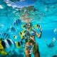 best snorkeling destinations in the Caribbean (1) mejores destinos para hacer snorkel en el Caribe