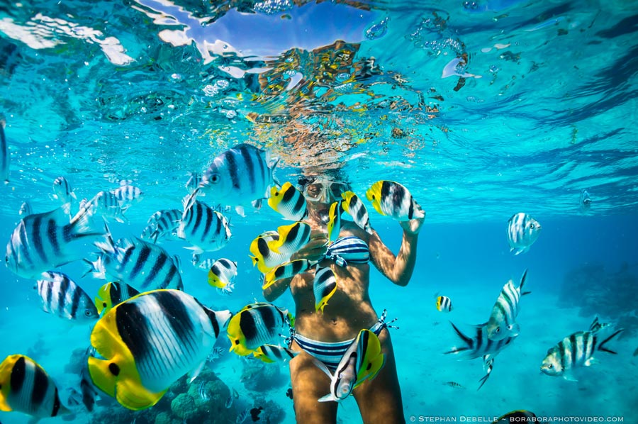 best snorkeling destinations in the Caribbean (1) mejores destinos para hacer snorkel en el Caribe