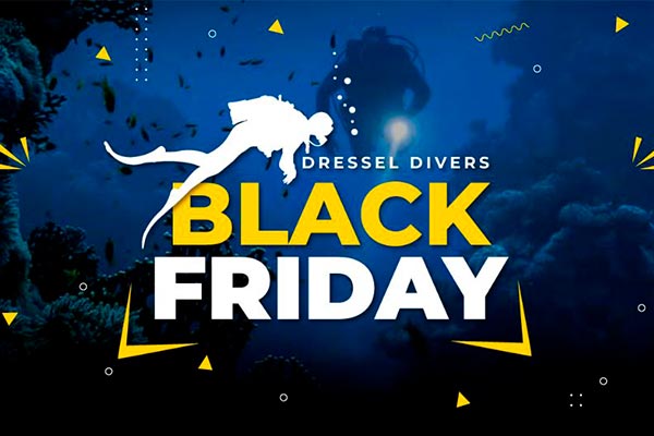 Dive Into Black Friday Deals!