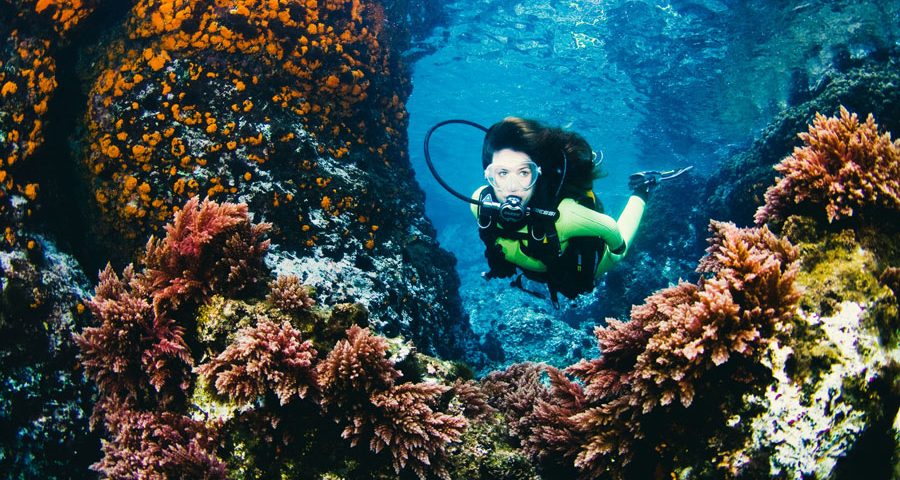 buceo en solitario - foto principal