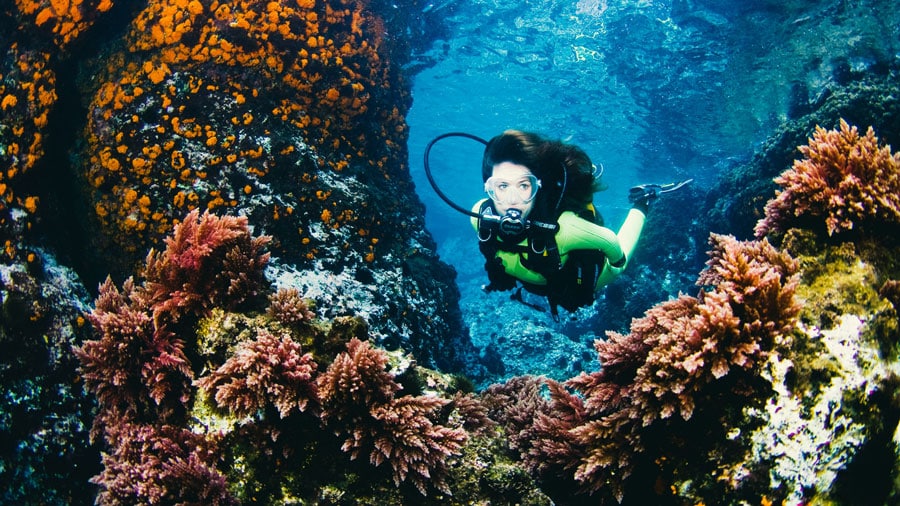 buceo en solitario - foto principal