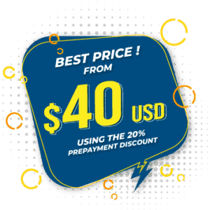 bull shark price