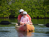 caribbean sea life - mangroves - manglares