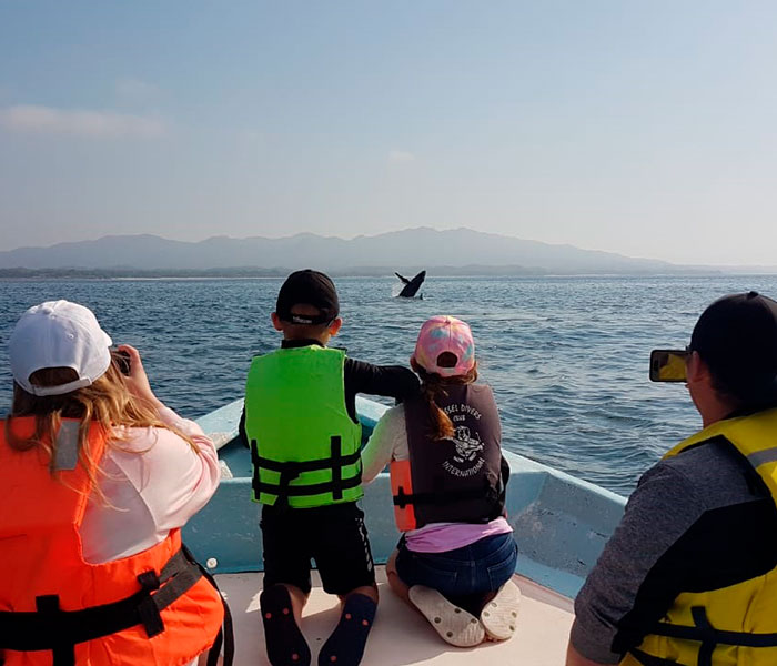 carrusel-whale-watching-activity-playa-mita-8