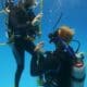 cesa scuba diving (4) CESA en buceo