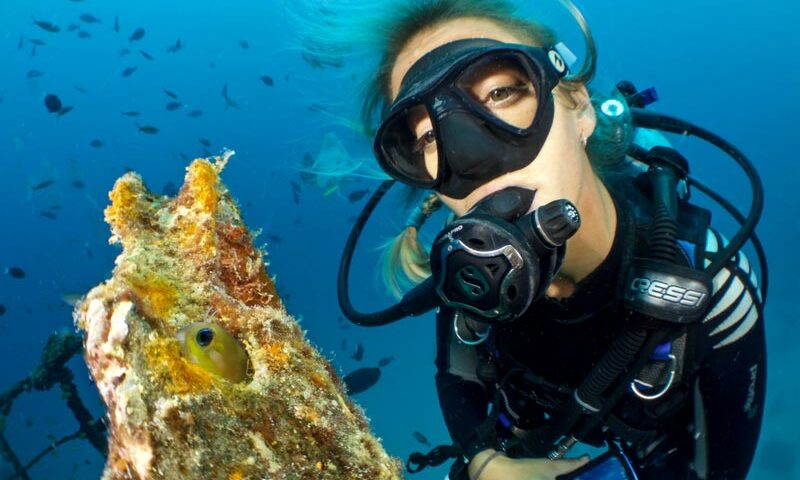 cheap diving - main - buceo barato