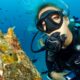 cheap diving - main - buceo barato