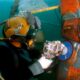 commercial diving certification (9)
