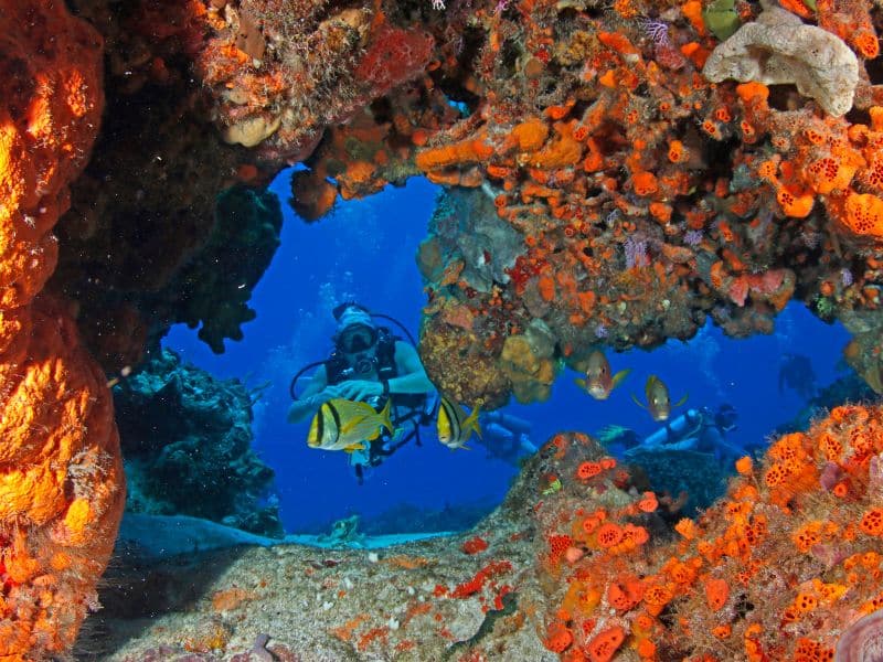 cozumel caves (3) cuevas de cozumel