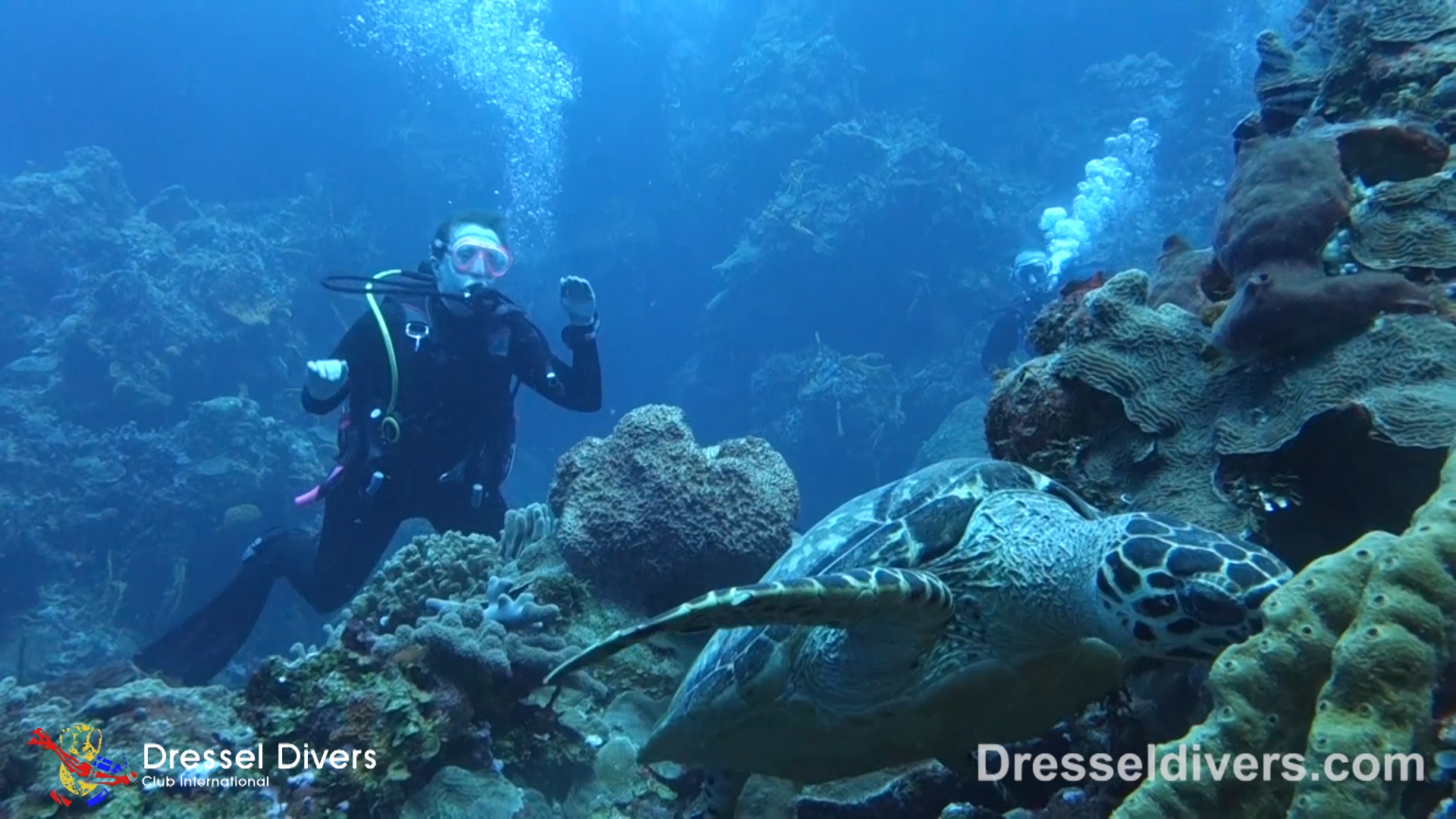 Cozumel Caves Are Not as You Imagine Dressel Divers