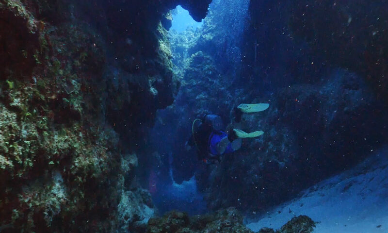 cozumel caves - palancar - cuevas de cozumel