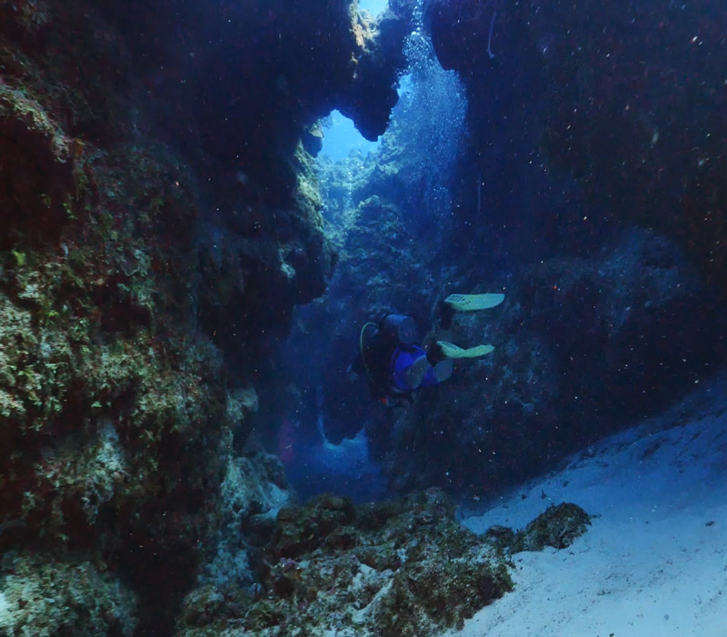 cozumel caves - palancar - cuevas de cozumel