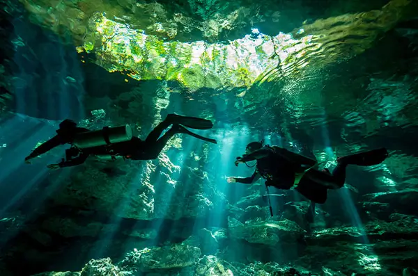 cozumel dive sites cenotes cozumel dive sites cenotes