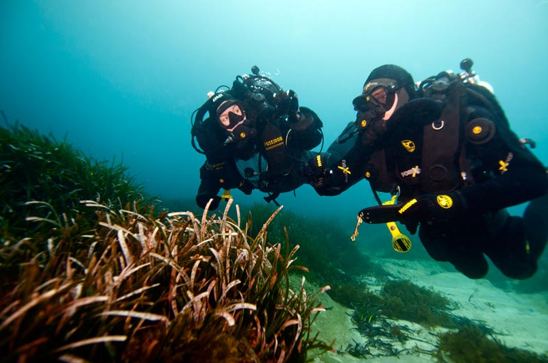 deep stop scuba - rebreather padi