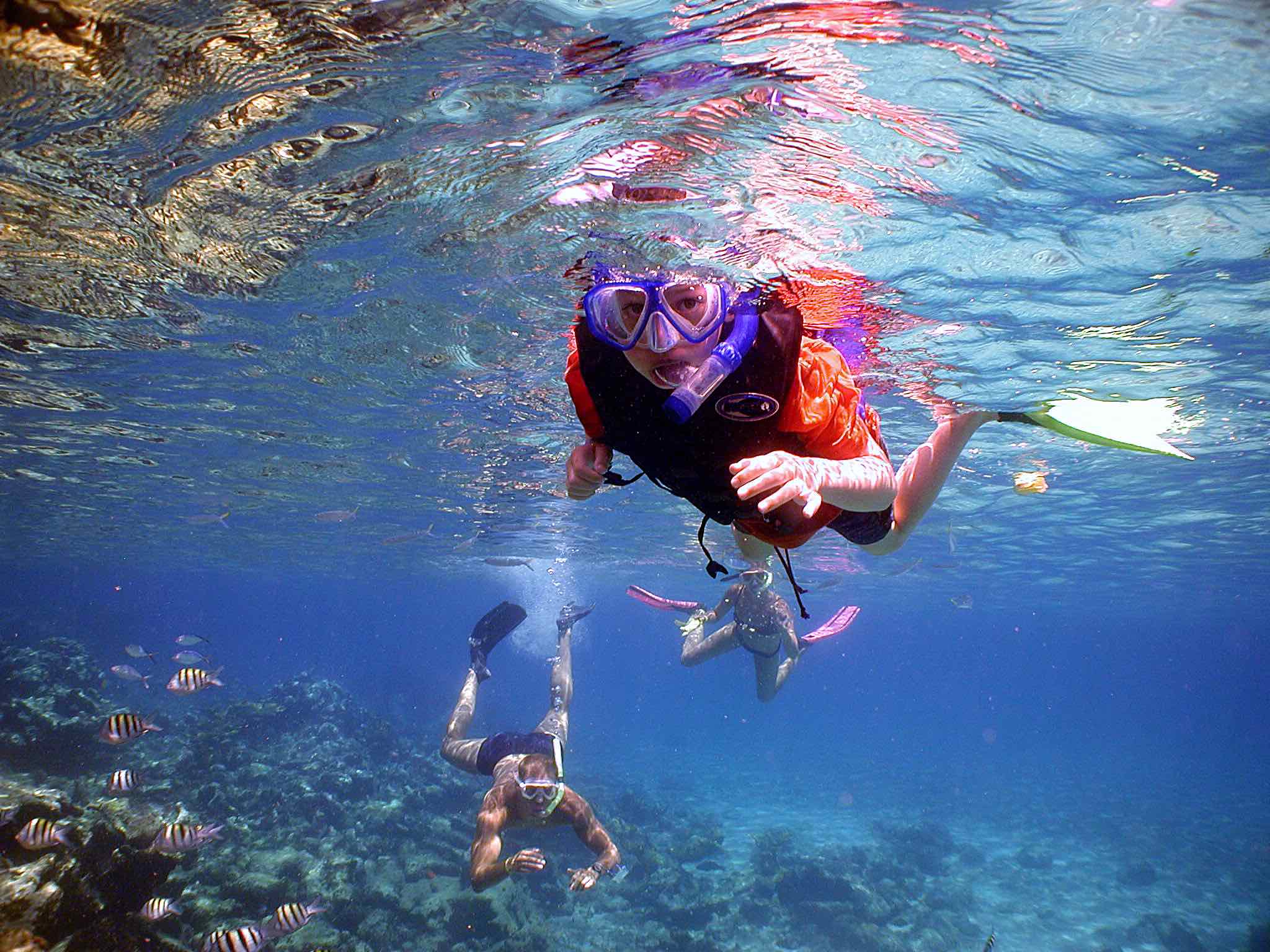 deportes acuáticos - snorkeling