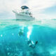 dive boat design