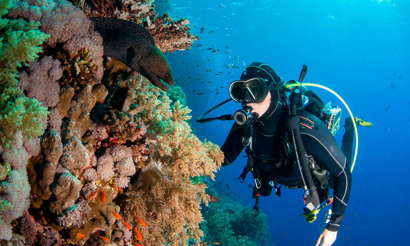 dive gloves - 3