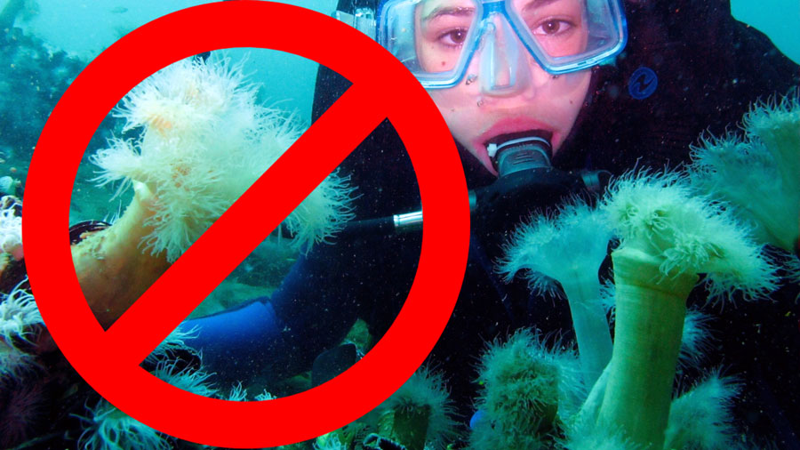 dive gloves