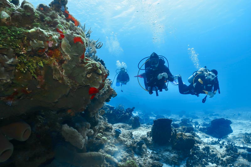 dive insurance - 3 - seguro de buceo