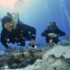 dive insurance - seguro de buceo