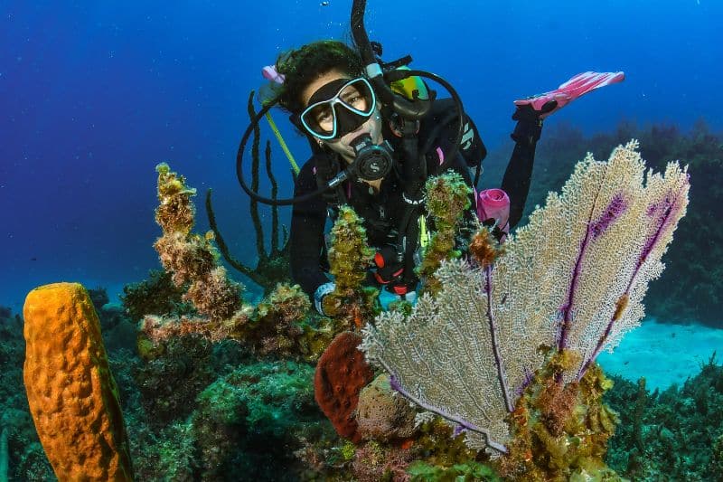 dive insurance - seguro de buceo (6)