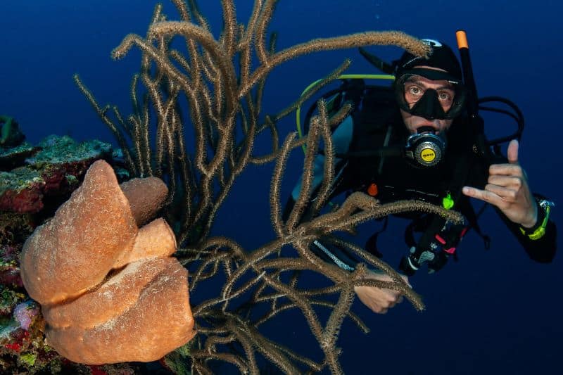 dive insurance - seguro de buceo (9)