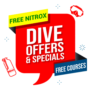 dive offers and specials
