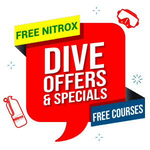 Dive offers and specials