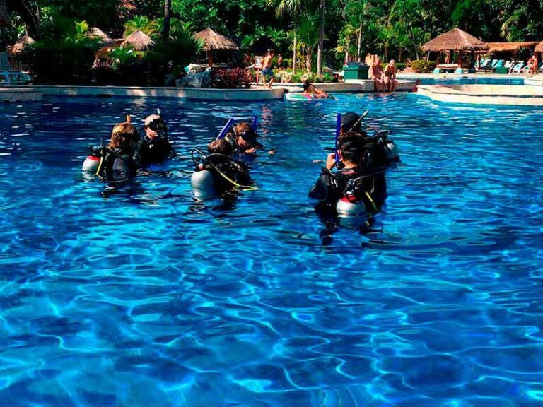 Scuba diving in PLAYA DEL CARMEN with Dressel Divers