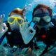 dive travel - viaje de buceo (1)