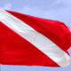 diving-flags - banderas de buceo - main