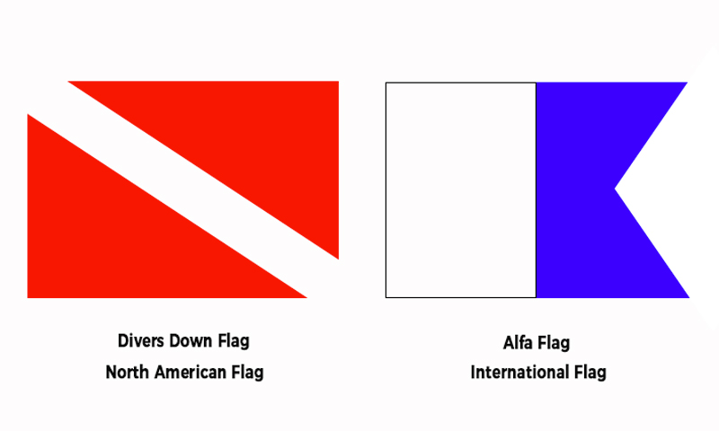 diving flags - banderas de buceo - draw