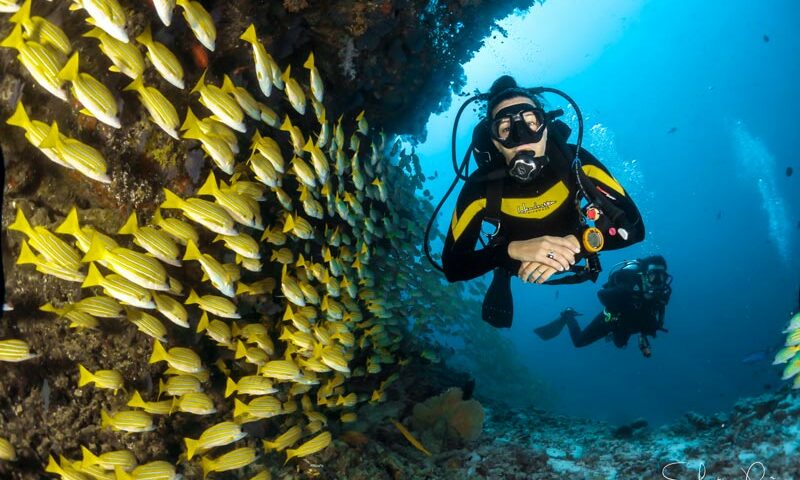 diving holidays - main - vacaciones de buceo