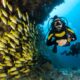 diving holidays - main - vacaciones de buceo