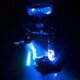 diving lights - linterna de buceo