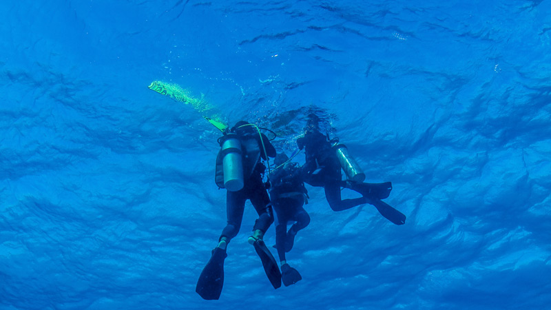 diving makers - boya de buceo