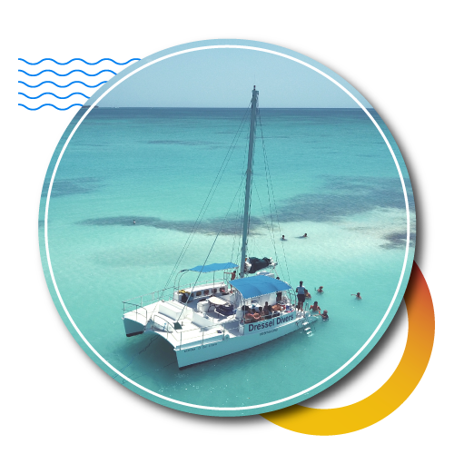 diving specials - catamaran