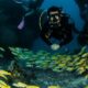 diving test - prueba de buceo