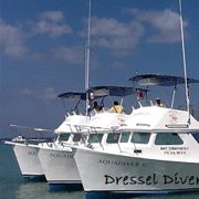 Dressel Divers Boats