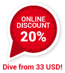 20% Internet Discount